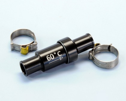 TERMOSTATO THOR 80